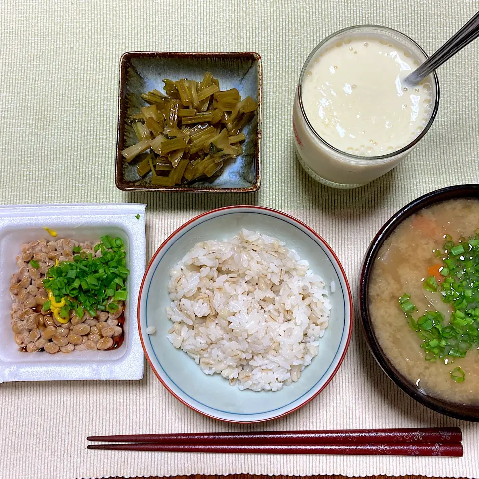 納豆ご飯|akkoさん