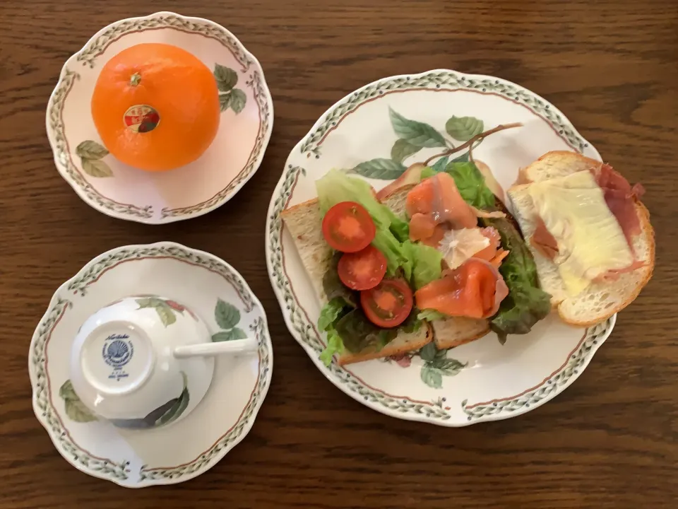 Snapdishの料理写真:ライ麦パンのオープンサンド🥪フルティカトマト🍅バジルペースト&スモークサーモン🍋・パルマ産生ハムとモッツァレラチーズのトースト🧀今日の昼食20201205|rococoさん