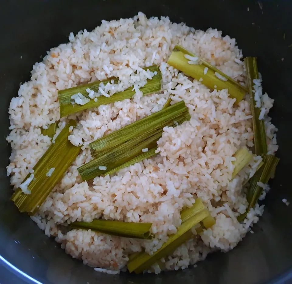 Snapdishの料理写真:envymaqueen's dish Rice Cooker Chicken Rice|envymaqueenさん