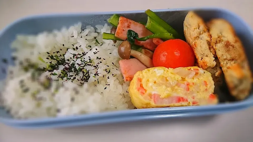 Snapdishの料理写真:豆腐ハンバーグ弁当|えびぱんさん