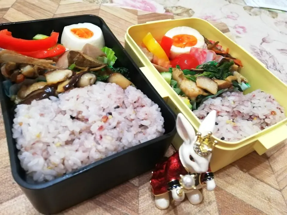 12/10
本日のジジババ弁当🍱|たえさん