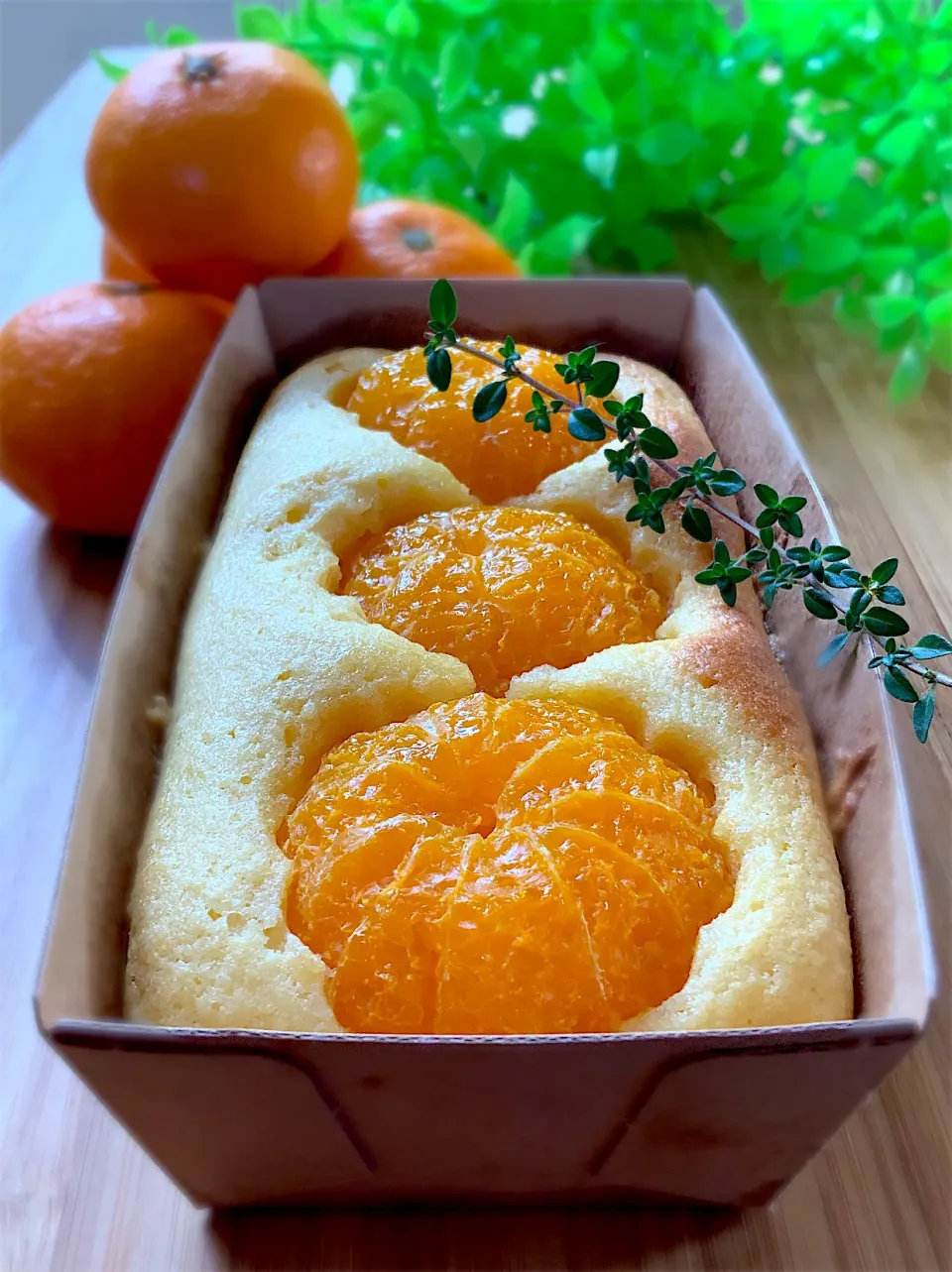 みかんケーキ🍊|9421beruさん