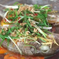 steamed fish
fresh fish|Muntamah Mumunさん