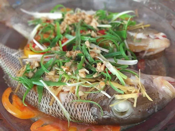 steamed fish
fresh fish|Muntamah Mumunさん