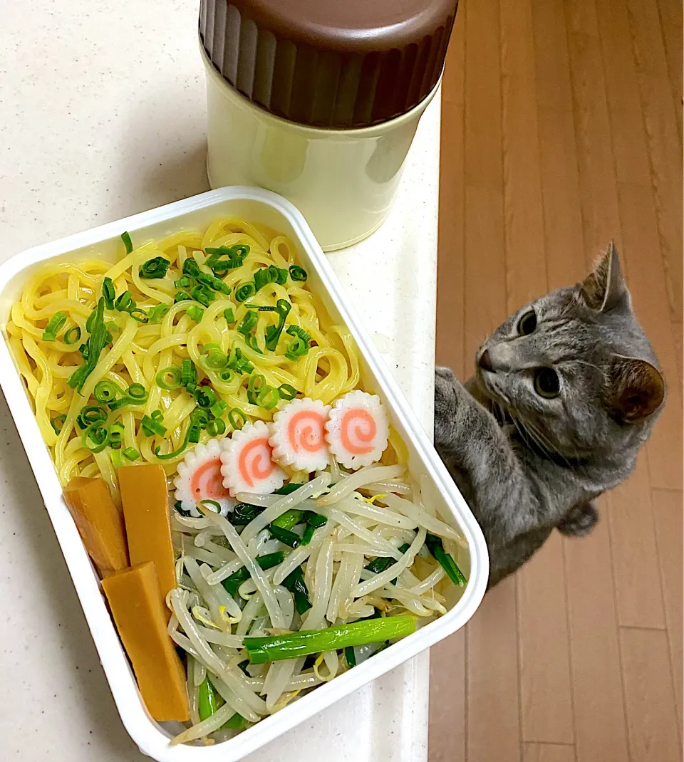 つけ麺弁当|cafe3733さん