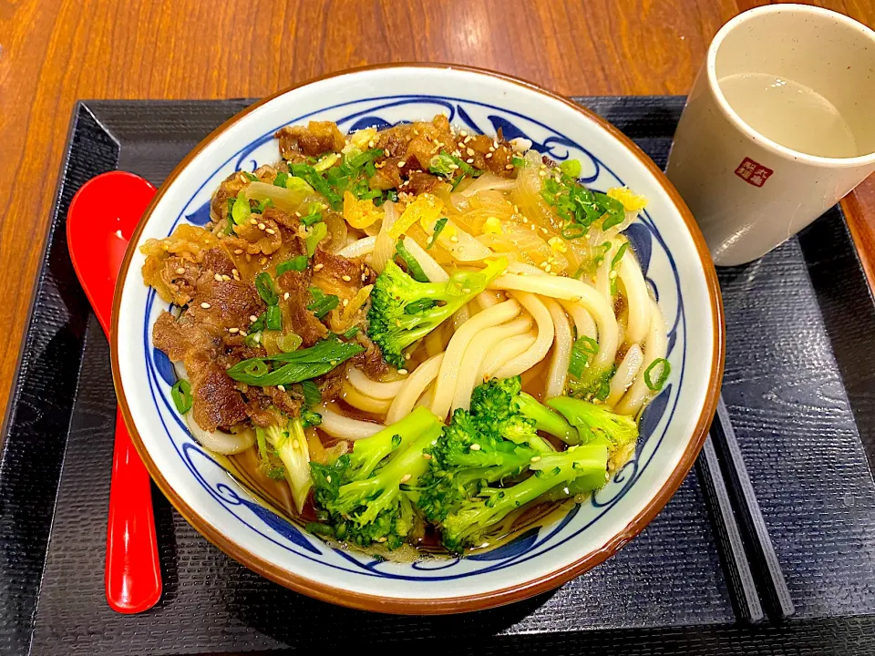 Beef udon|skyblueさん