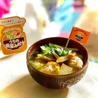 Snapdishの料理写真:晩ごはん 鶏つくねとごぼうの具だくさんみそ汁|砂雪さん