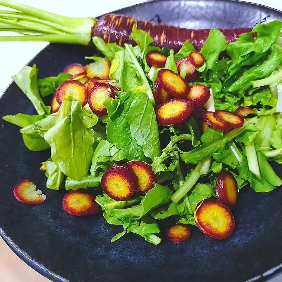 人参とルッコラのサラダ🥗|ファンメイ🌺さん