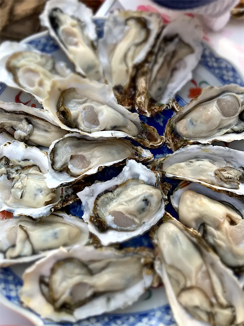 糸島の牡蠣です。殻を剥いただけ、橙とおろし大根で頂きます🦪|colorさん