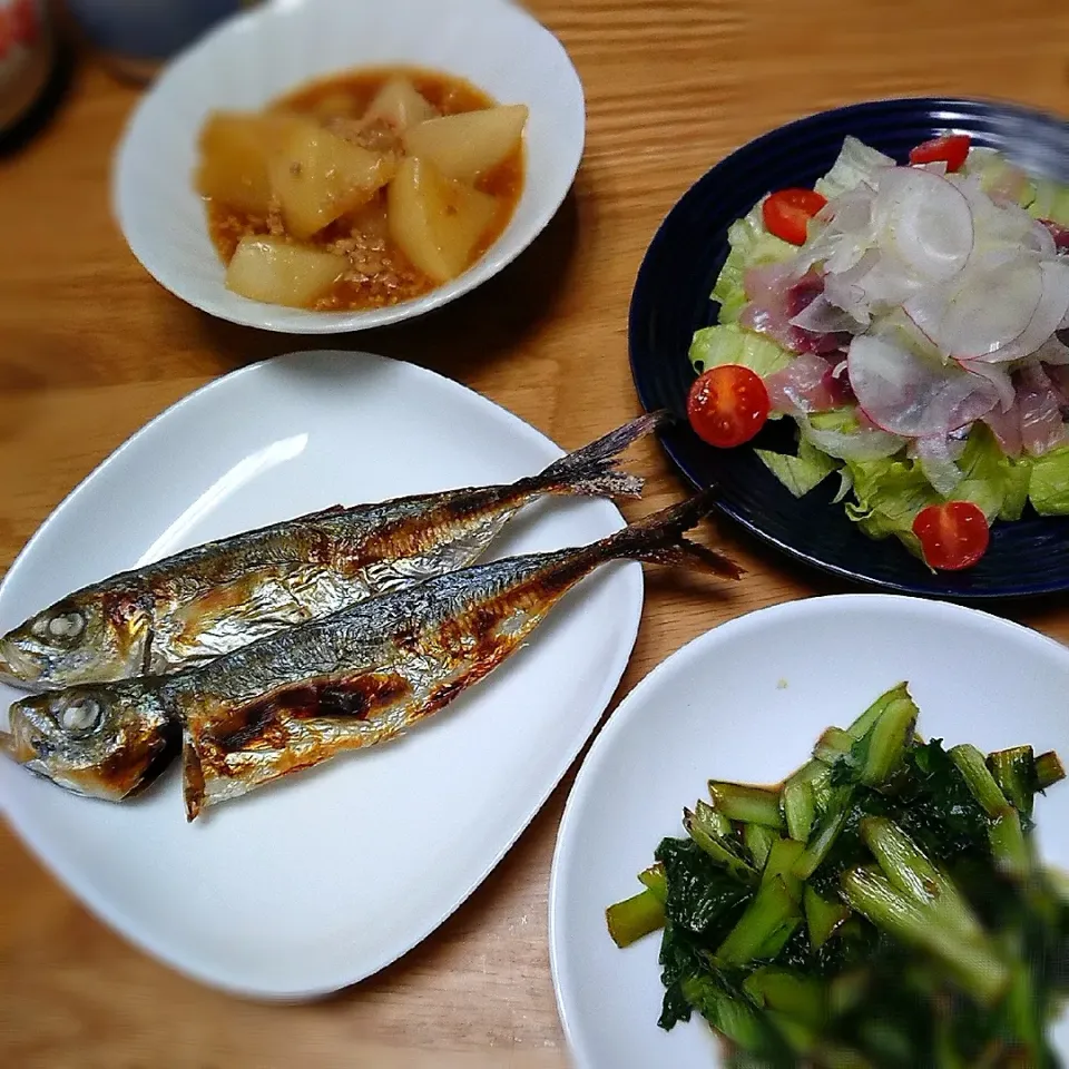 本日も、鯵大漁✨✨✨
アジ祭り🐟|ゆっこさん