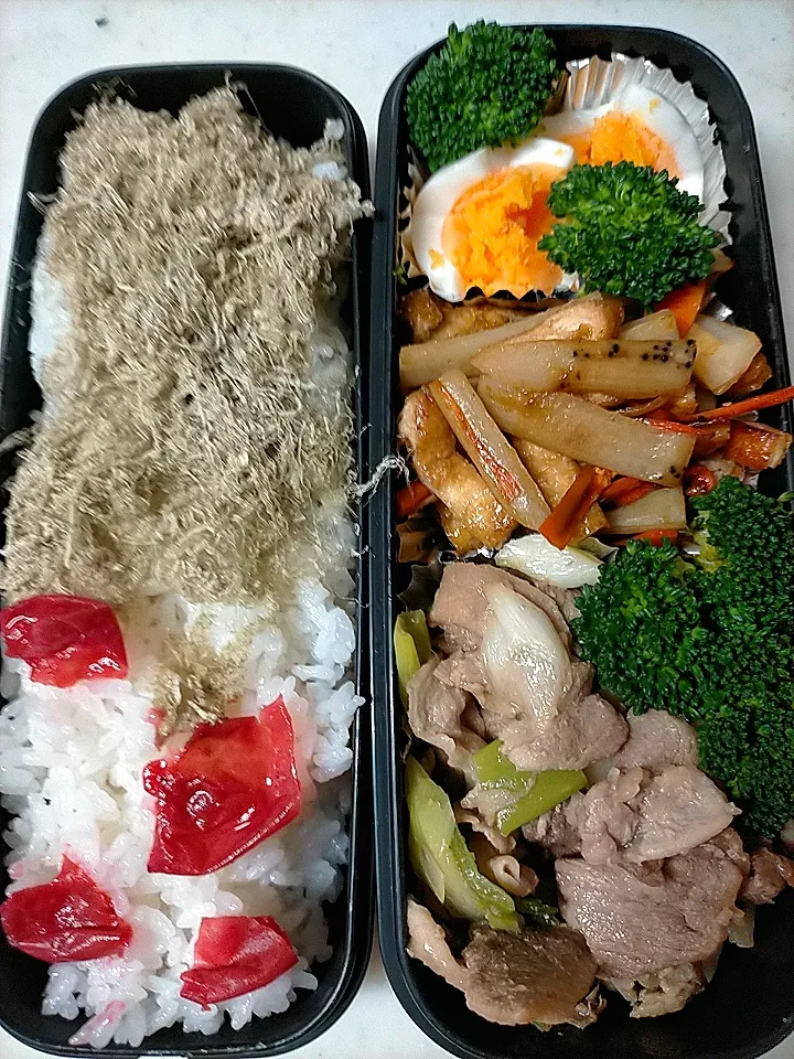 Snapdishの料理写真:豚肉ネギ焼き弁当
★加賀レンコン・人参・油揚げきんぴら|芽亜里さん