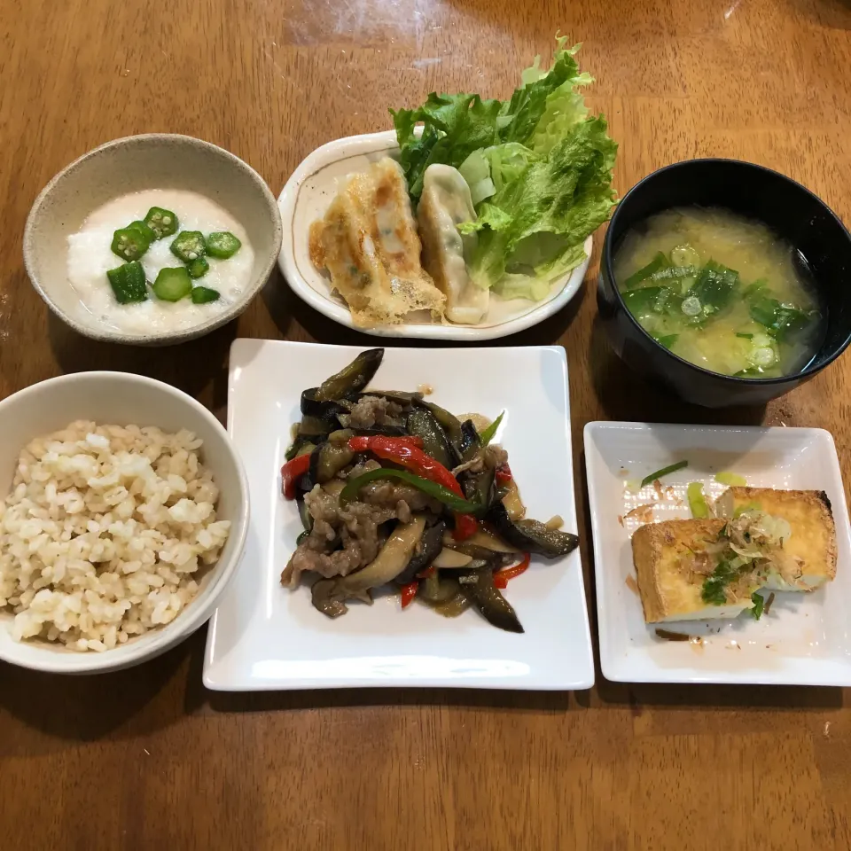 今日の晩ご飯|トントンさん