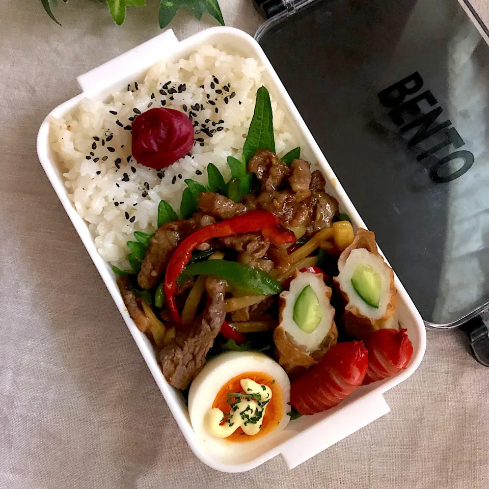 Snapdishの料理写真:青椒肉絲弁当|あここさん