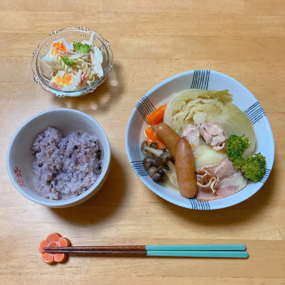 ポトフとマカロニサラダ🍲|ちゃみこさん