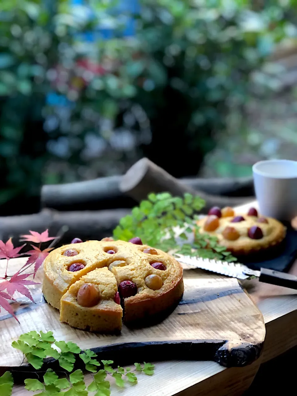 葡萄とカッテージチーズのケーキ♪|ちーちさん