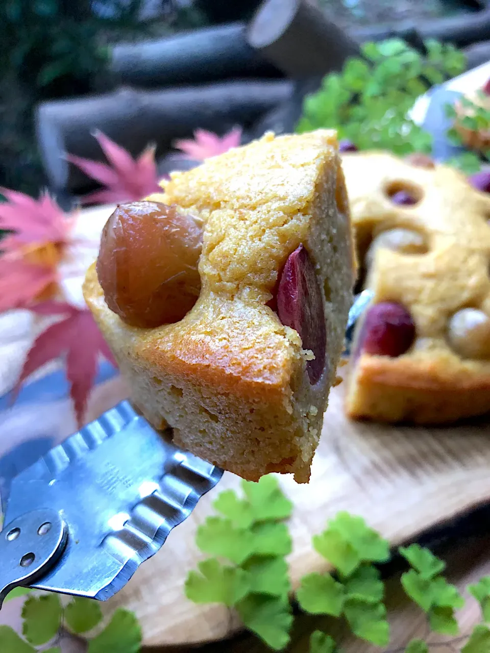 ぶどうとカッテージチーズのケーキ♪|ちーちさん