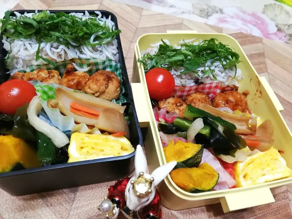 12/16
本日のジジババ弁当🍱|たえさん