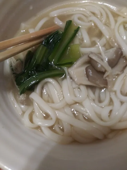 きのこの餡掛けうどん|こやっこさん