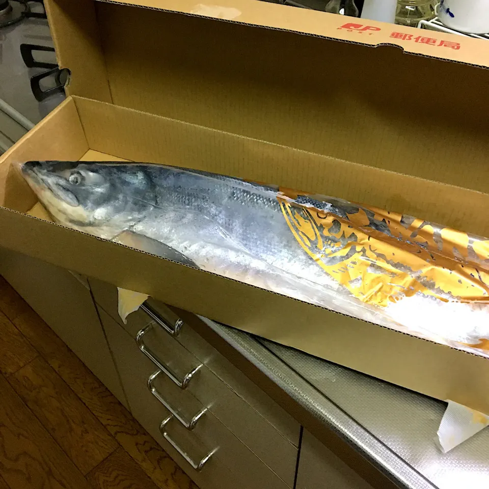 Snapdishの料理写真:来たーーーー！さーけー🐟|あっつさん