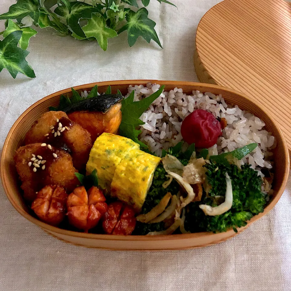 今日のお弁当|あここさん