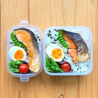 Snapdishの料理写真:本日のお弁当 鮭のオリーブオイル焼き弁当|砂雪さん