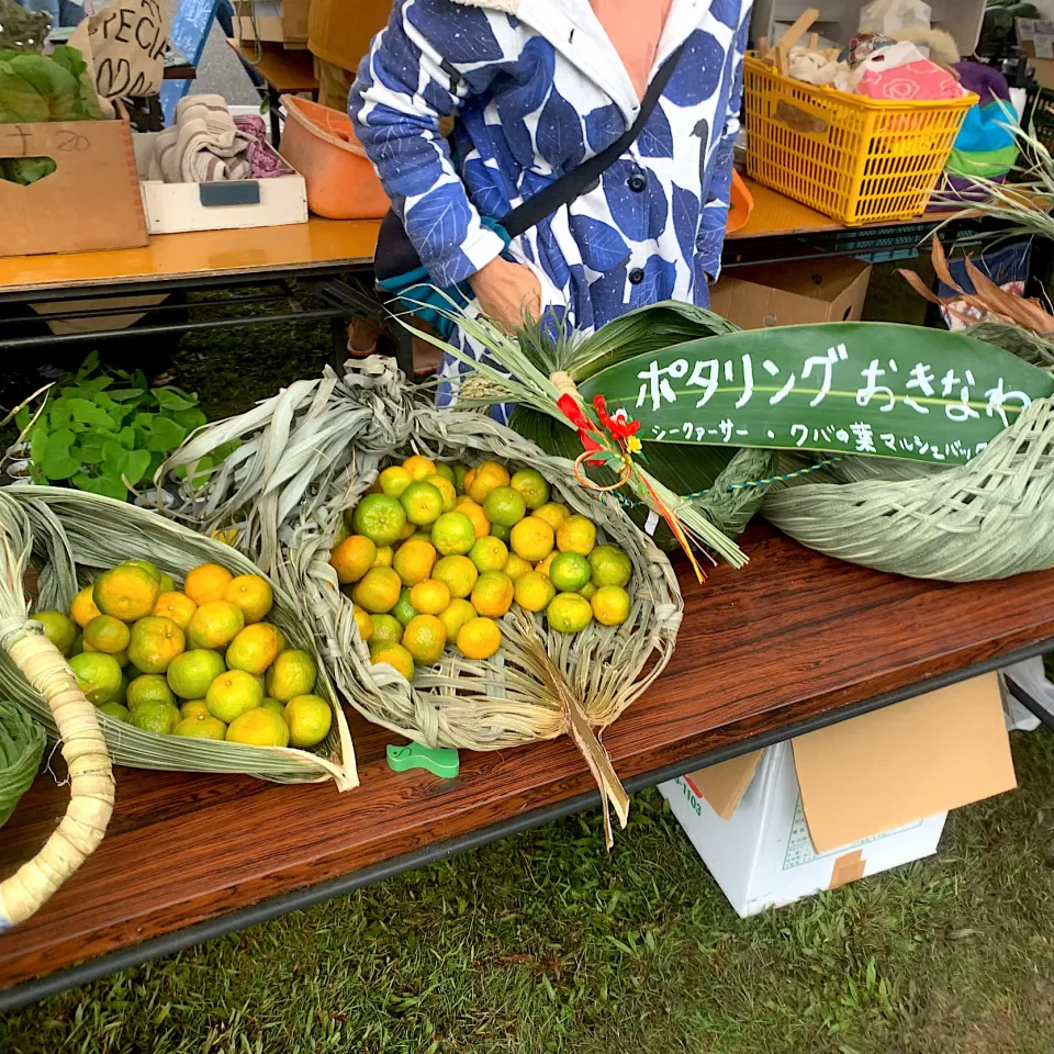 Snapdishの料理写真:石垣島産シークワサー|dabasyuさん