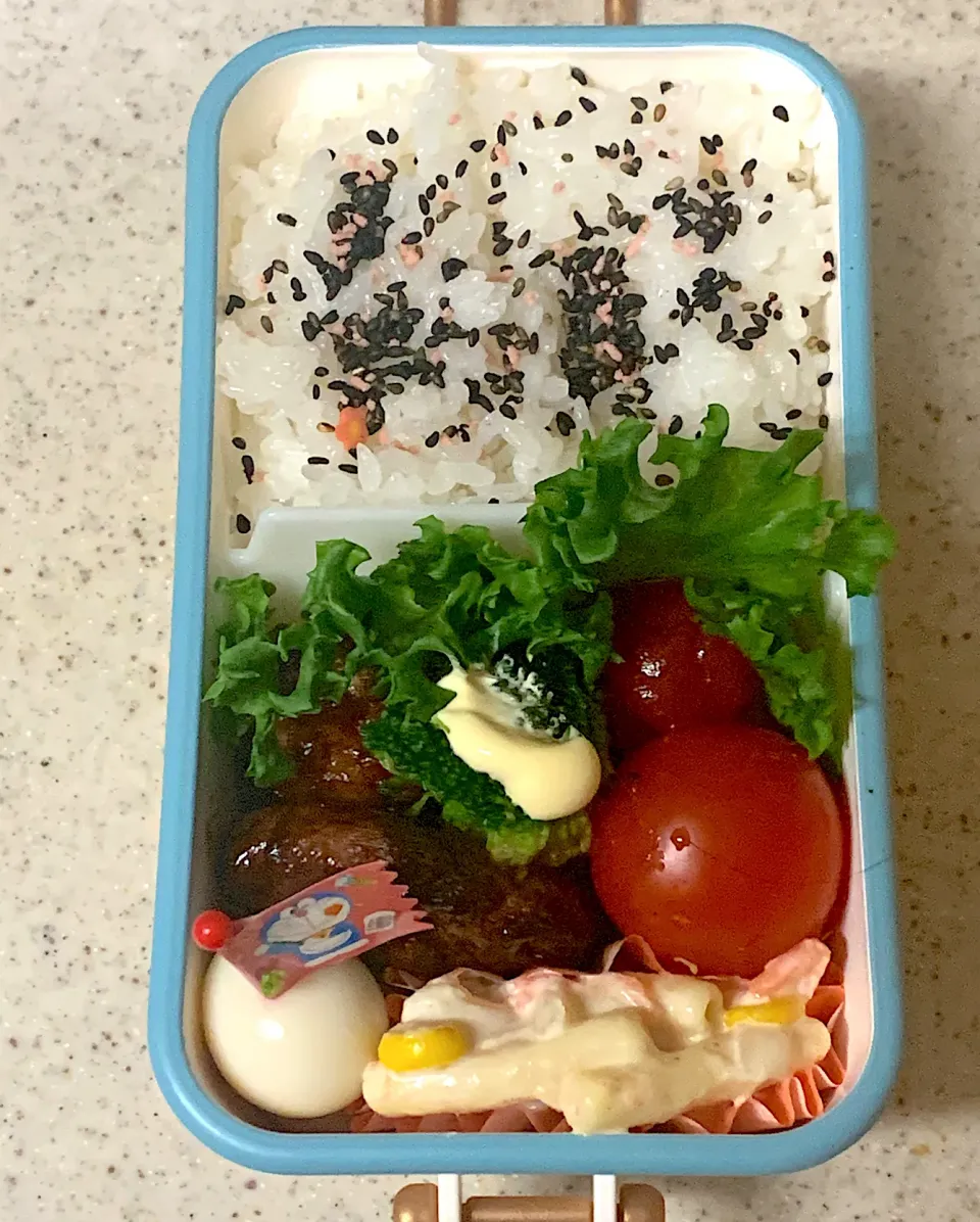 Snapdishの料理写真:ハンバーグ弁当|besさん