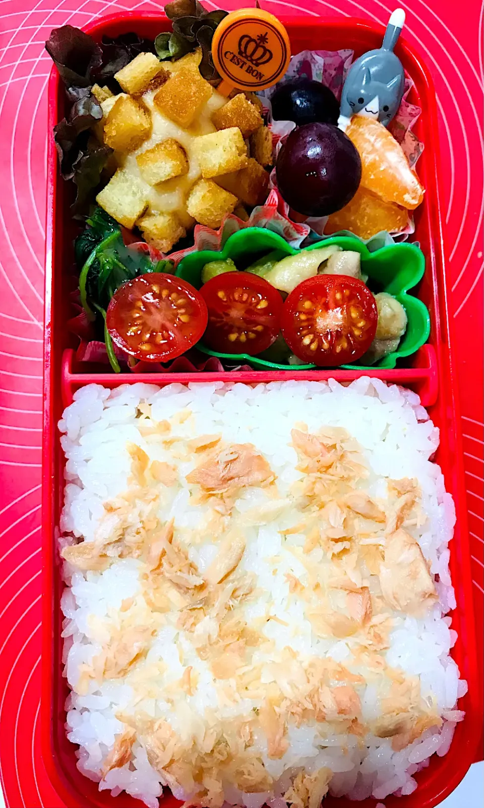 ブラバン土曜練習弁当|花音さん