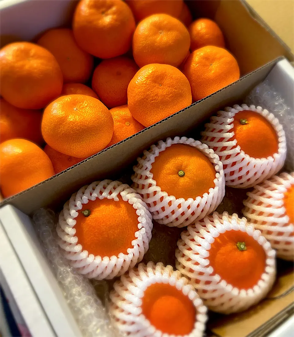 Snapdishの料理写真:愛媛のみかん＆まどんな🍊|Yoshiko Iさん