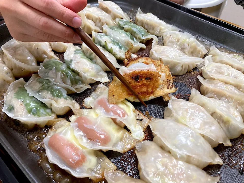 Snapdishの料理写真:＊ホットプレートで手作り餃子🥟＊|＊抹茶＊さん