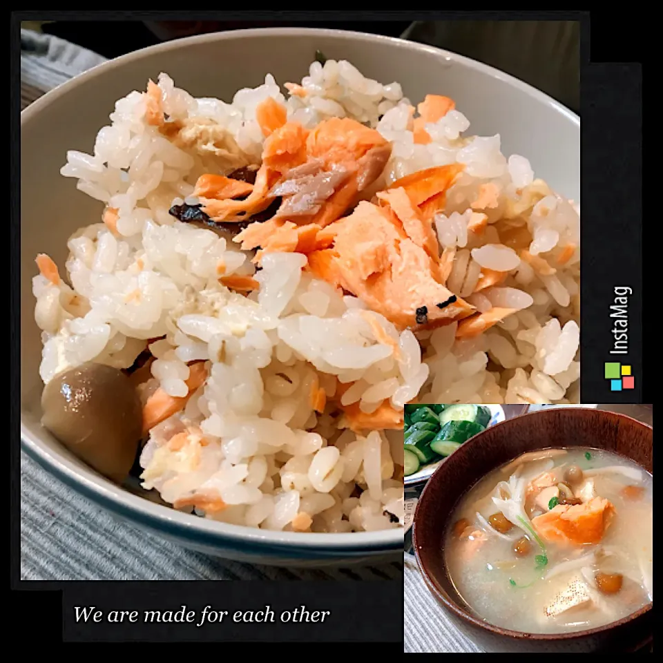 Snapdishの料理写真:シャケの炊き込みご飯🐟🍚😋|アライさんさん