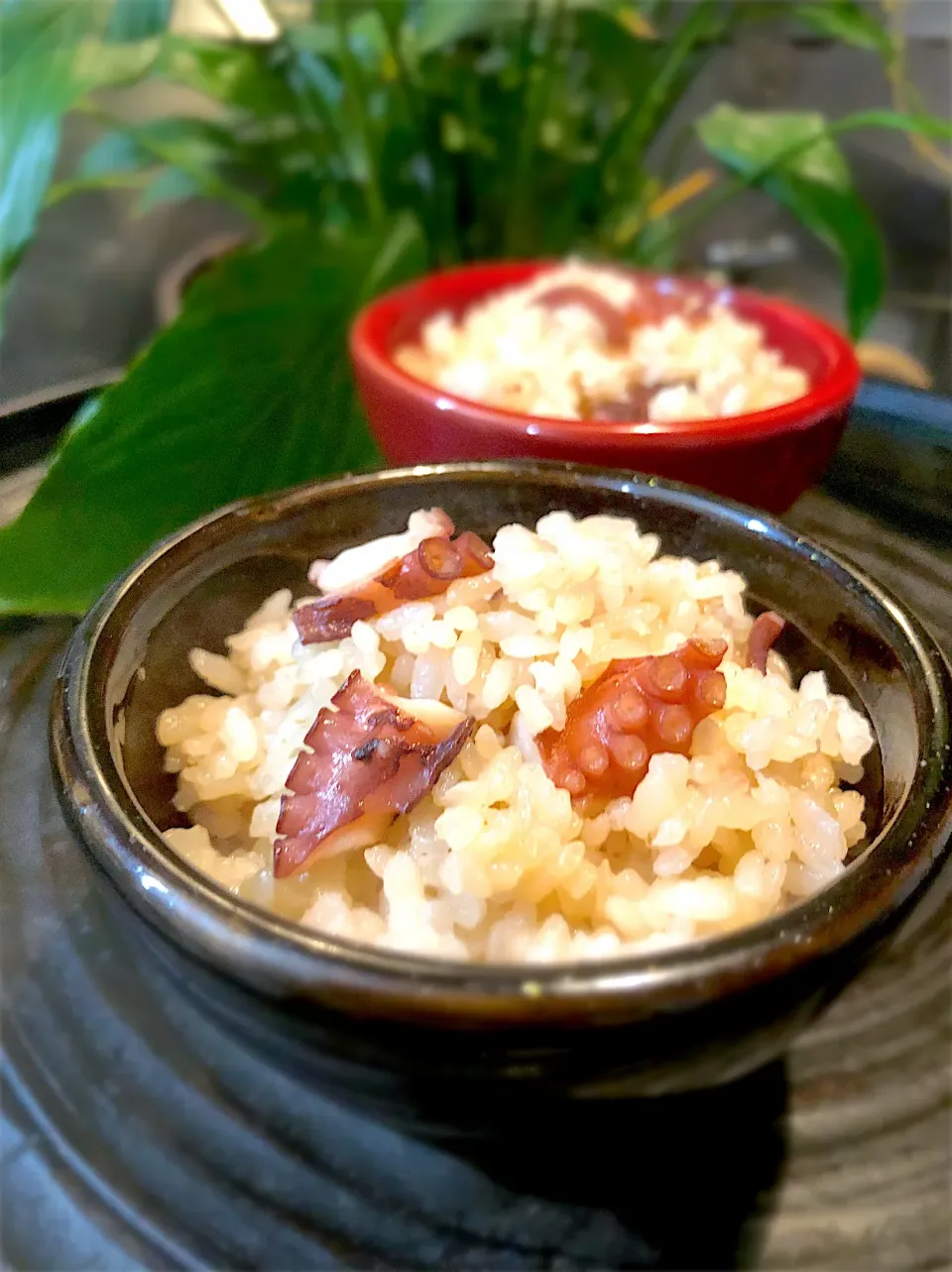 Snapdishの料理写真:釣りたて蛸でタコ飯🐙|ちーちさん