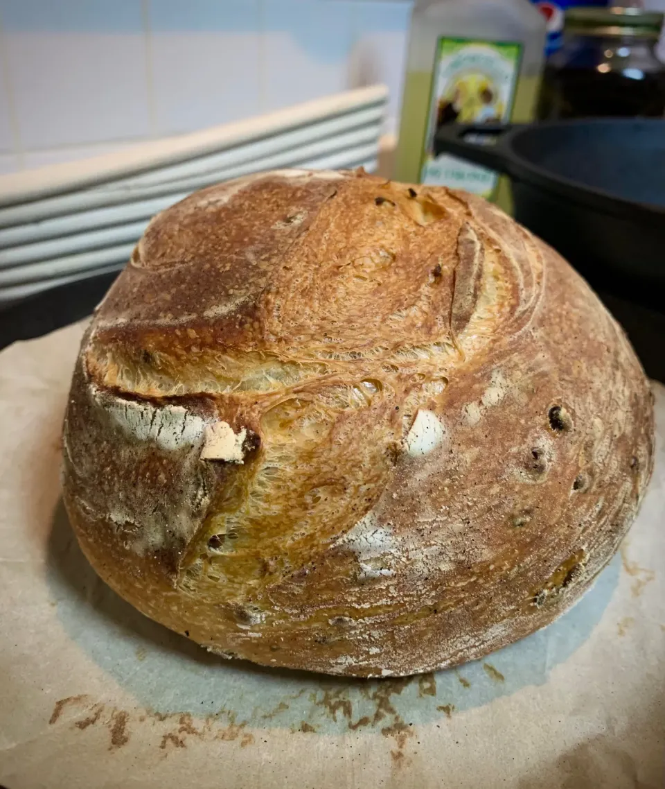 Mung Bean & Caraway Sourdough Bread (pic 1)|gonbenさん