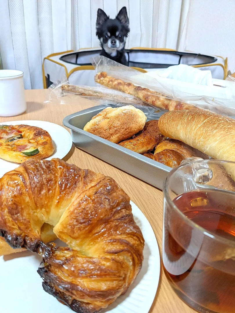 パン屋のパン
やっぱり旨いもんはうまいね
こだわってるだけある
年末だけに気が大きくなって　いっぱい買っちゃた!|いくたん140さん