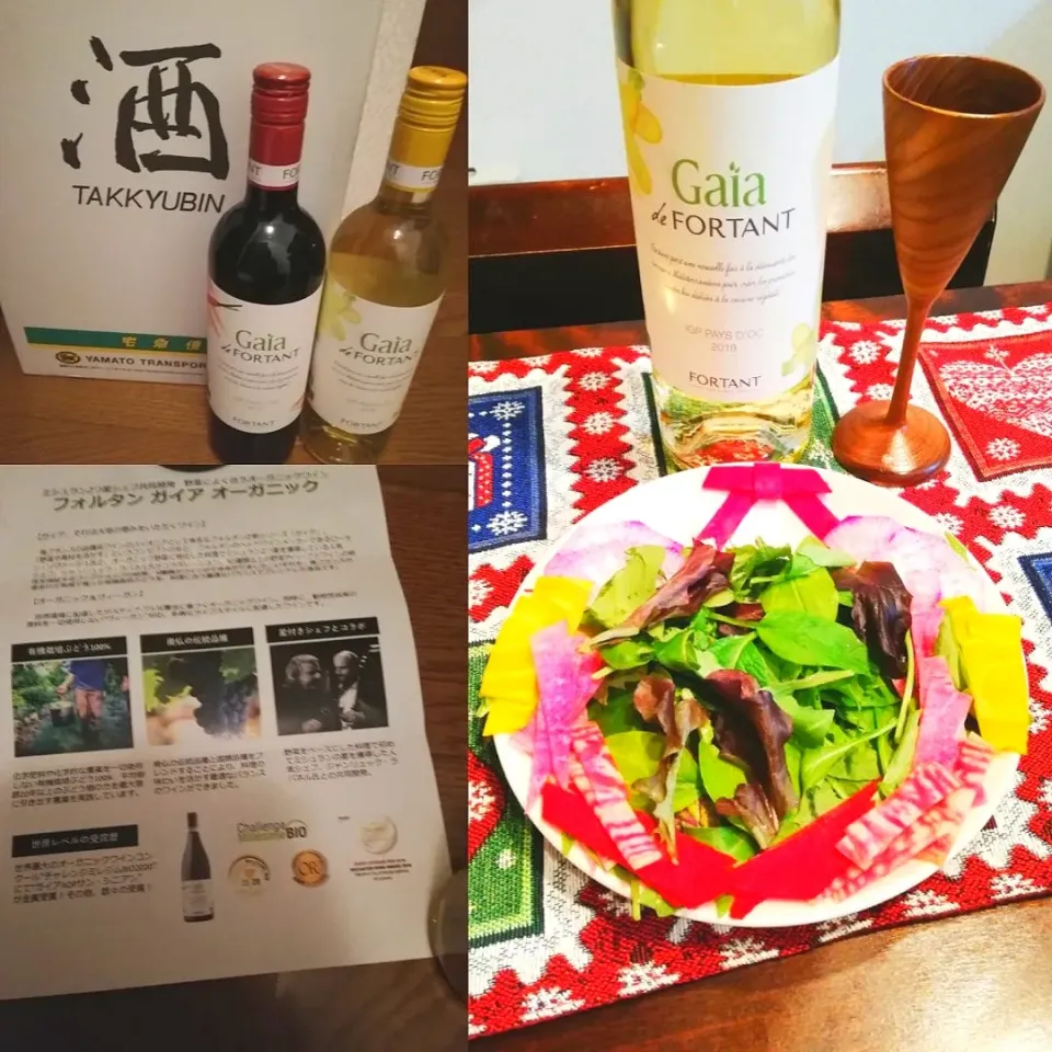 野菜料理に良く合うフォルタンガイアオーガニックワイン🍷|naonaomimichanさん