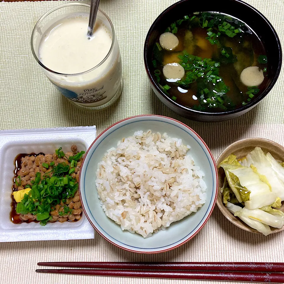 納豆ご飯|akkoさん