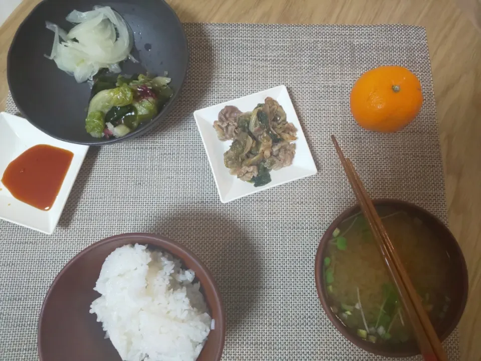 Snapdishの料理写真:白飯
カイワレの味噌汁
豚肉ともやしとレタスの炒め煮
海藻サラダ
玉ねぎスライス
みかん|あぎふぁんさん