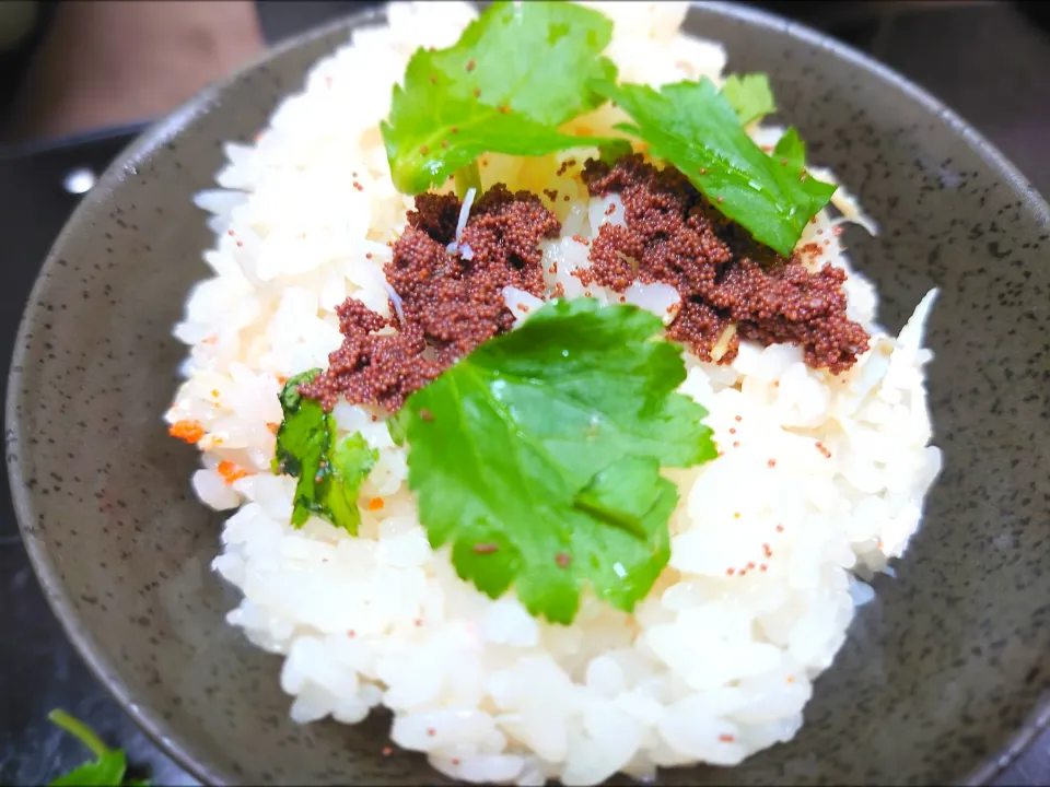 香箱ガニの炊き込みご飯|伊藤央さん