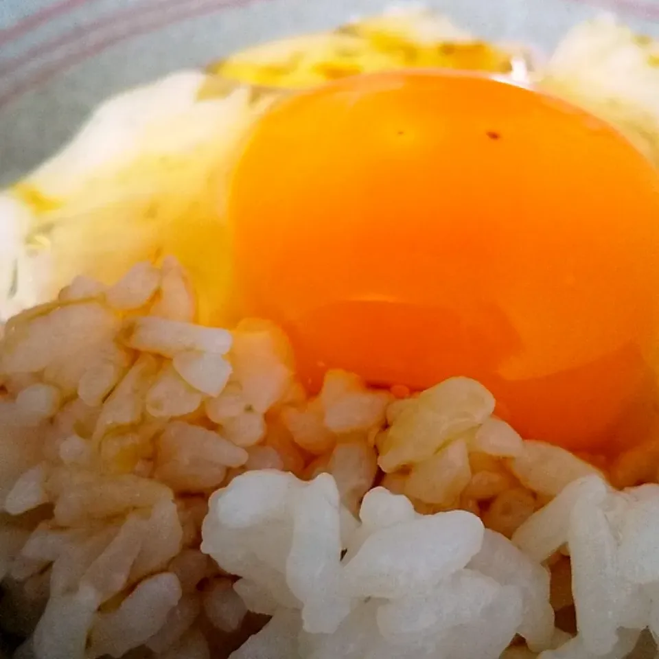 農場の卵でたまごがけご飯🥚🍚|じょうさん