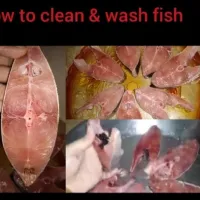 Snapdishの料理写真:how to wash and clean fish?|wali mohammed tvさん