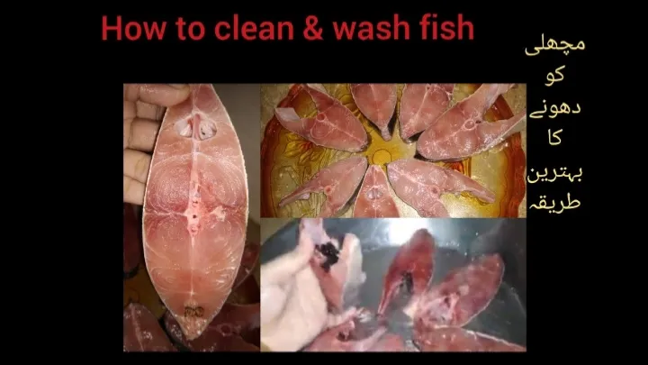 Snapdishの料理写真:how to wash and clean fish?|wali mohammed tvさん