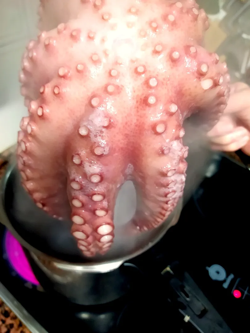 Pulpo|David Fueyoさん