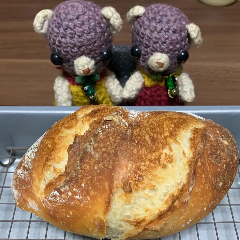 Snapdishの料理写真:ぷっくりフランスパン焼き立て（╹◡╹）|chagashiさん