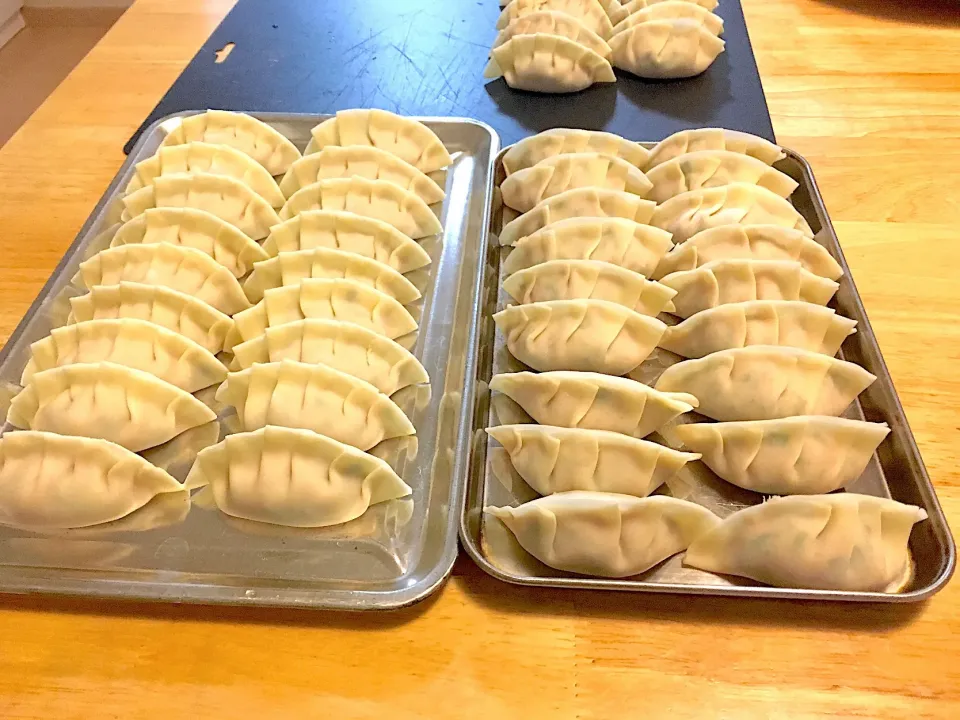 テレビで観て食べたくなったので餃子を🥟作りました〜😋|さくたえさん