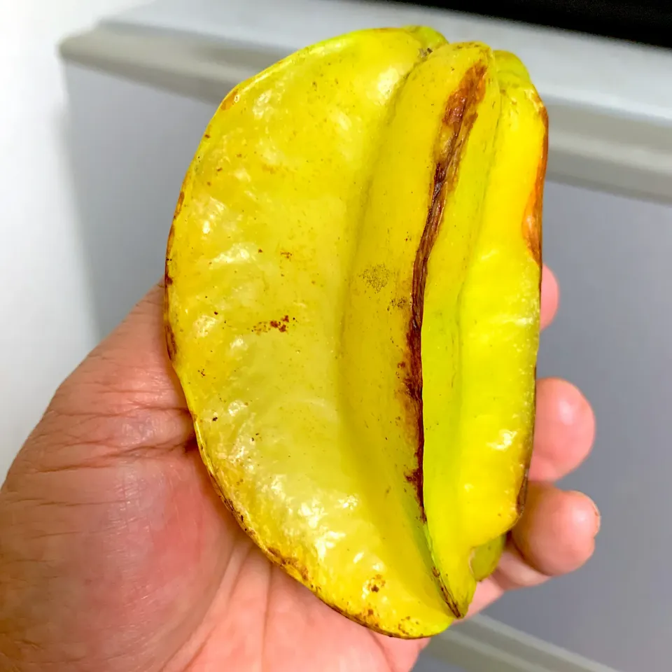 🌈石垣島産🌈STAR fruit🌈|dabasyuさん