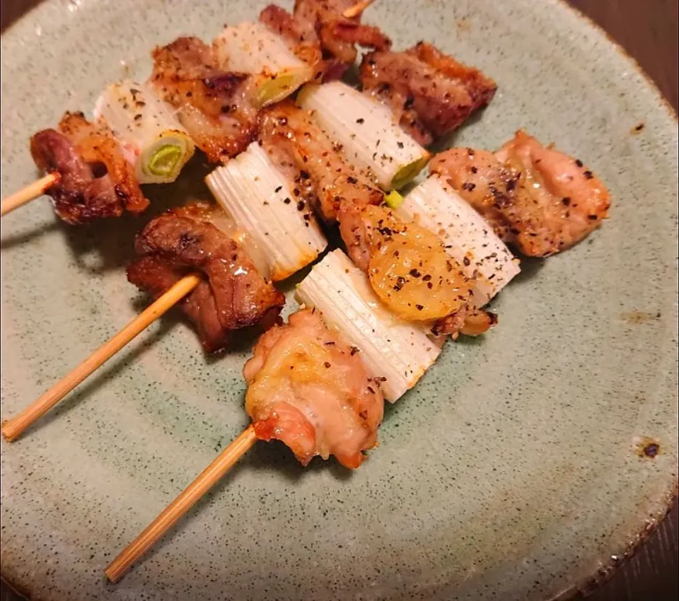 塩焼き鳥 塩焼き豚バラ|えりさん