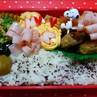 1/6…今日のお弁当～🎵|美津子さん