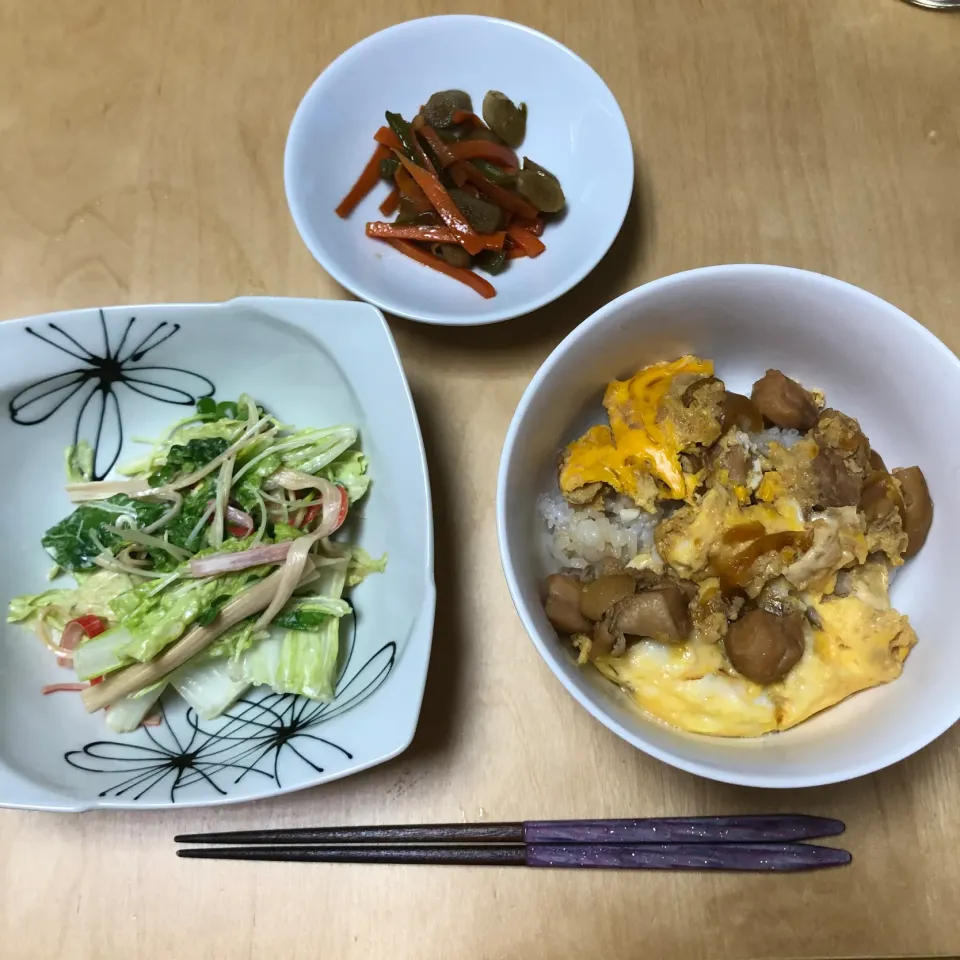 Snapdishの料理写真:親子丼、白菜の和風コールスロー、きんぴらごぼう|Rioさん