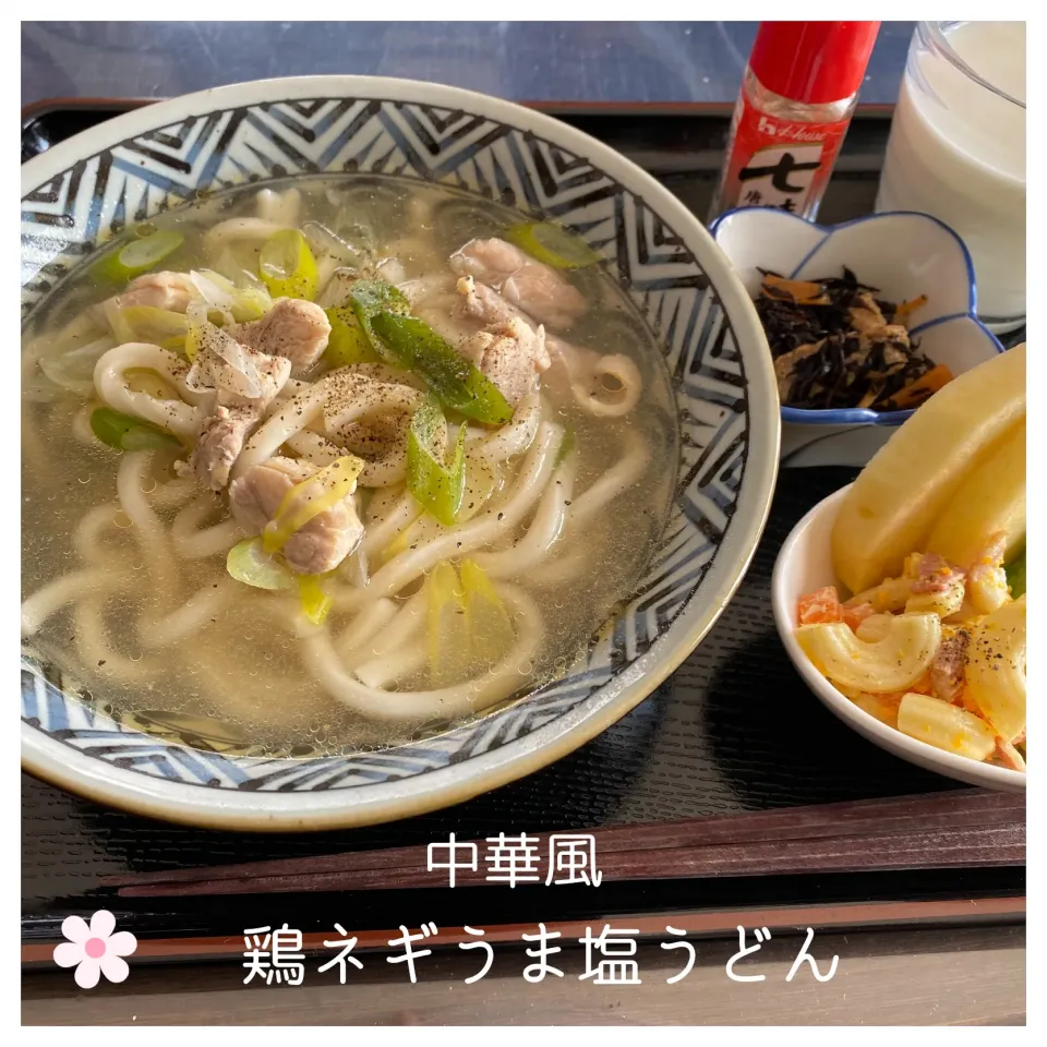 Snapdishの料理写真:中華風　鶏ネギうま塩うどん|いのっちさん