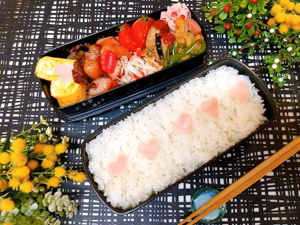 Snapdishの料理写真:今日は休日なので、旦那さん一人だけのお弁当☆プラスお味噌汁付きです。寒い日が続きますが、皆さん身体に気をつけて頑張って行きましょう。|yuriさん